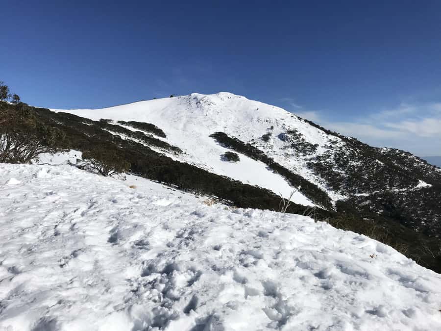 From Melbourne: Mt Buller Snow Day Small Group Boutique Tour - How this small-group format beats big bus drop-offs