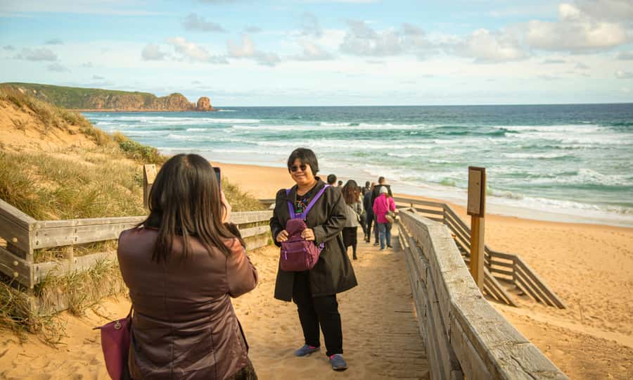 From Melbourne: Penguin Parade Afternoon Tour - Penguin Parade at Sunset: Your 2-Hour Moment With Little Penguins