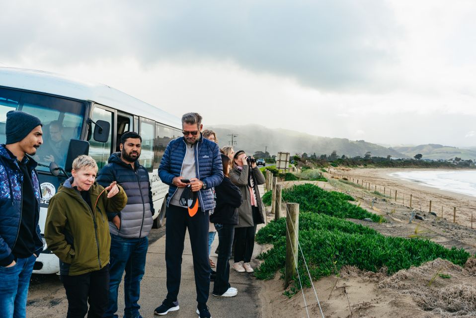 From Melbourne: Penguin Parade, Koalas & Kangaroos - Phillip Island Penguin Parade: the main event, and how to handle the crowds