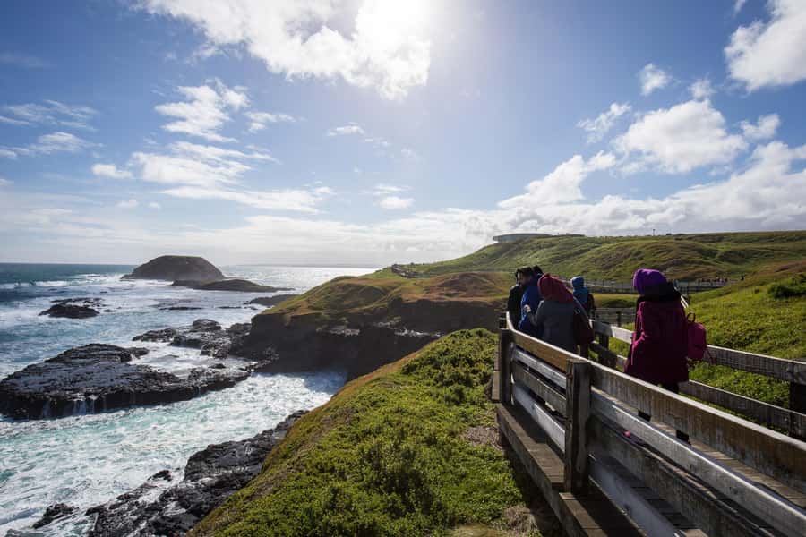 From Melbourne: Penguin Parade, Koalas & Kangaroos - Price and logistics: is $112 per person worth it?