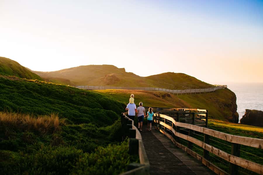 From Melbourne: Penguins and Wildlife Nature Day Tour - Key highlights worth your attention
