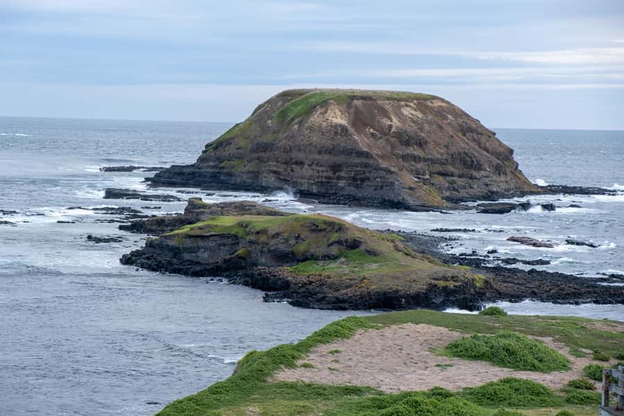 From Melbourne: Phillip Island and Penguin Parade Day Tour - Who Should Book This Penguin Parade Day Tour (and Who Should Skip It)