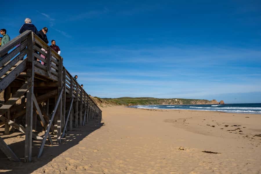 From Melbourne: Phillip Island and Penguin Parade Day Tour - The Nobbies and Seal Rocks: Boardwalk Photos and Seal Spotting