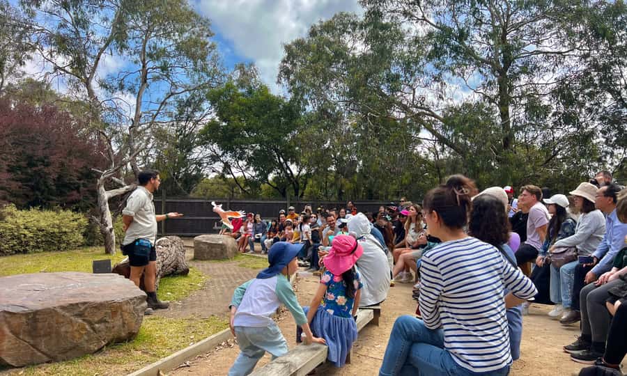 From Melbourne: Phillip Island Penguin Parade Eco Tour - The Nobbies: Big Ocean Views and a Wildlife Lottery