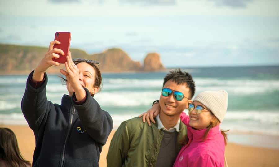 From Melbourne: Phillip Island Penguin Parade Eco Tour - Price and Value: What $109 Buys You (and What It Doesn’t)