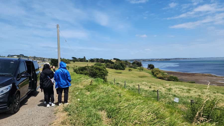 From Melbourne: Phillip Island Penguin Parade Private Tour - Koala Wildlife Nature Park: A Second Wildlife Hit (With a Different Focus)