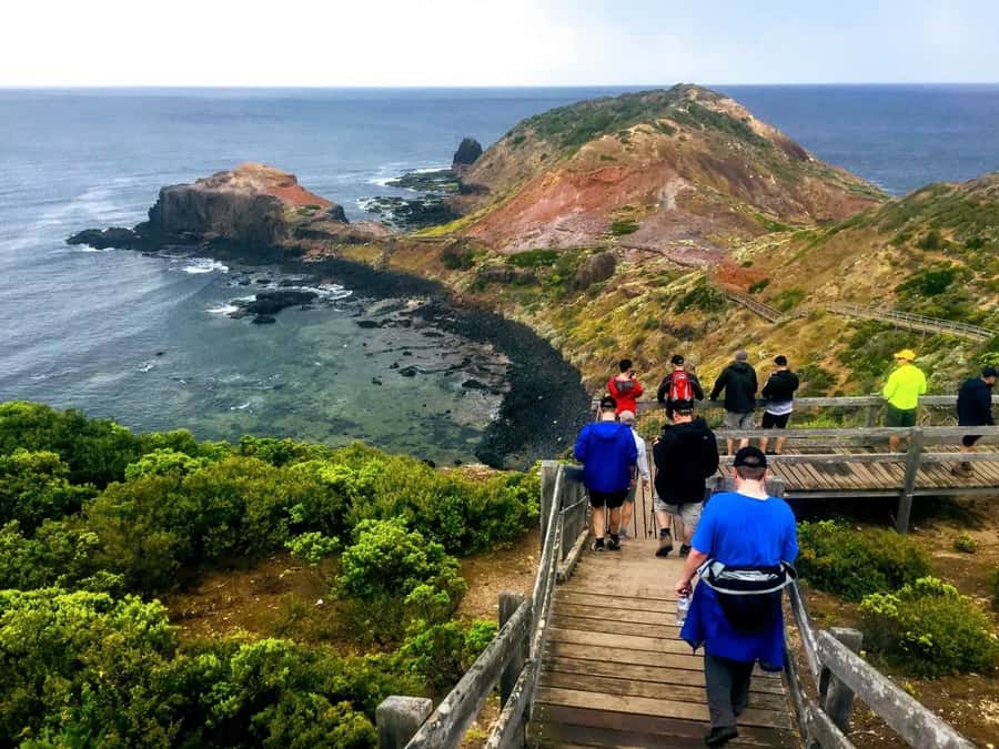 From Melbourne: Phillip Island Penguin Parade Private Tour - Private Comfort From Melbourne: The Real Value of Chauffeured Time