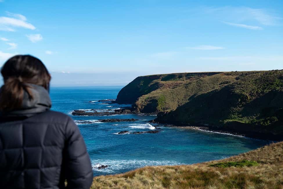 From Melbourne: Phillip Island Penguin Plus - Grandstand - Key things to know before you go