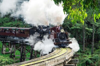 From Melbourne: Puffing Billy and Penguin Parade Combo Tour - Emerald Lake stop: a calmer reset before the coast gets wild