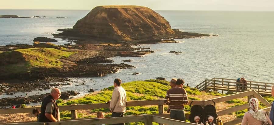 From Melbourne: Puffing Billy and Penguin Parade Combo Tour - Who should book this combo (and who might think twice)