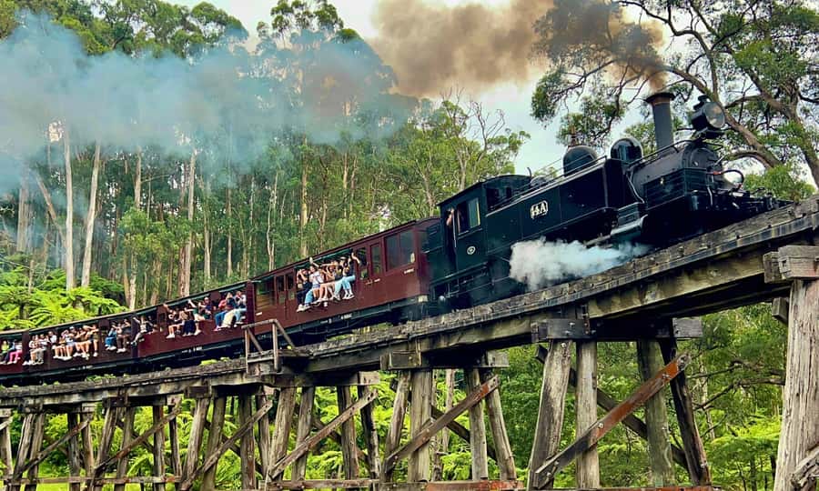 From Melbourne: Puffing Billy & Penguins Combo Tour Package - Puffing Billy to Lakeside: The Dandenong Ranges Ride That Actually Delivers