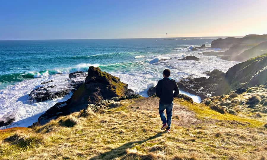 From Melbourne: Puffing Billy & Penguins Combo Tour Package - The Nobbies Boardwalks: Coastal Views, Wild Energy, and Sea Life