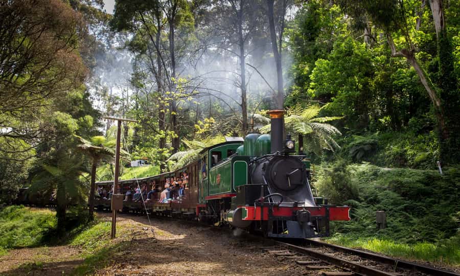 From Melbourne: Puffing Billy & Penguins Combo Tour Package - Penguin Parade at Sunset: The Waddle Ritual You Can Feel