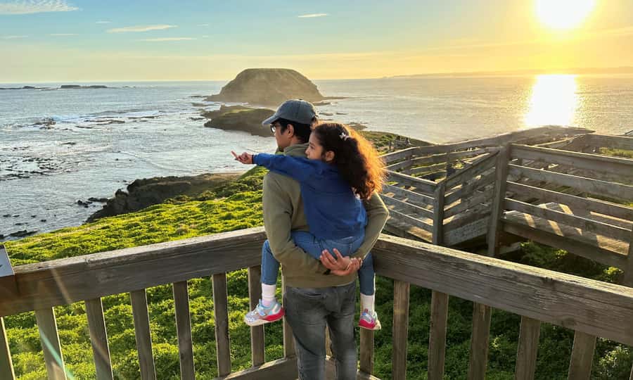 From Melbourne: Puffing Billy & Penguins Combo Tour Package - What to Pack for a Day That’s Part Train, Part Coast, Part Sunset