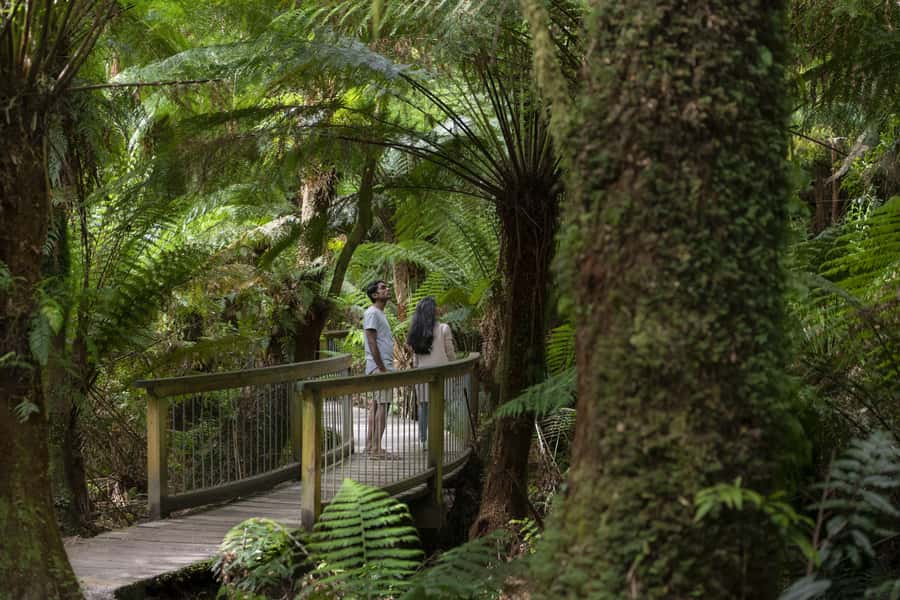 From Melbourne: Reverse Great Ocean Road Day Trip with Lunch - Why the reverse route beats the usual Great Ocean Road rush