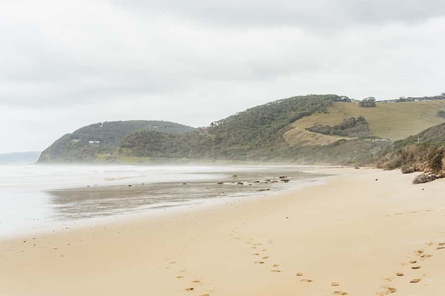 From Melbourne: Small-Group Great Ocean Road Day Trip - Ancient Rainforest Walk: The Break From the Sea