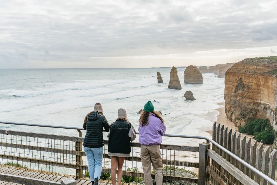 From Melbourne: Small-Group Great Ocean Road Day Trip - Wildlife Spotting: Koalas, Kangaroos, and Native Birds (When It Clicks, It Clicks)