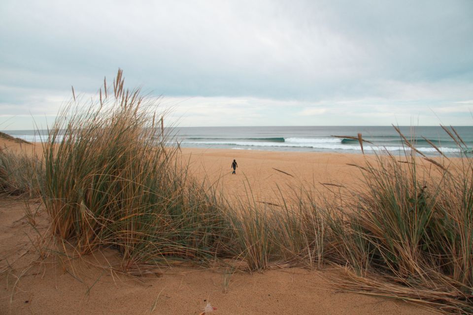From Melbourne: Small Group Great Ocean Road Tour - Apollo Bay lunch break: a real pause, but it’s not included