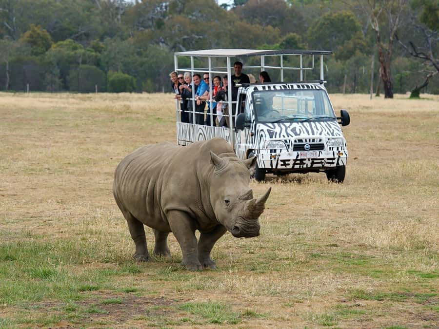 From Melbourne: Werribee Open Range Zoo & Werribee Mansion - Werribee Mansion: 19th-Century Pastoral Life and the Gardens