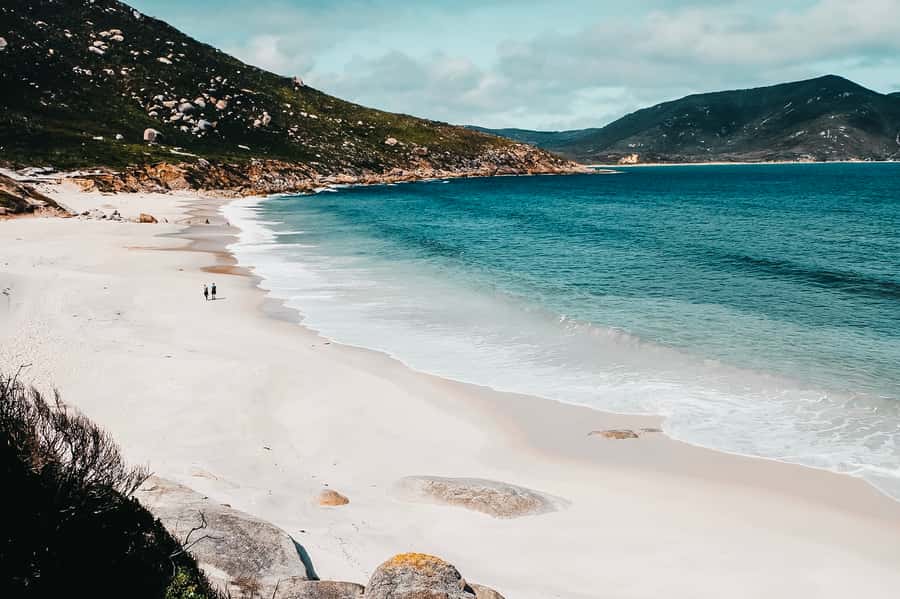 From Melbourne: Wilsons Promontory Small Group Day Tour - Mt Oberon summit hike: the climb that pays you back fast