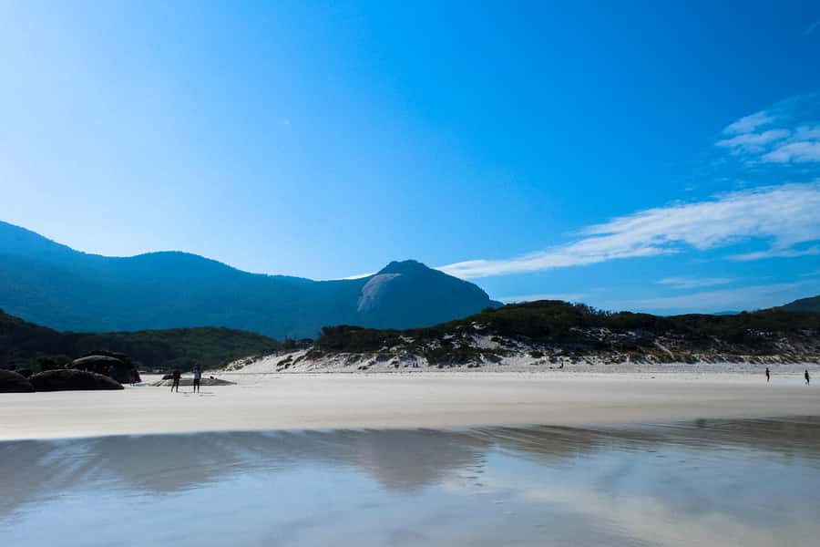 From Melbourne: Wilsons Promontory Small Group Day Tour - Getting there and back: small-group comfort without the chaos