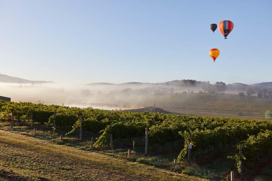 From Melbourne: Yarra Valley Hop-On-Hop-Off Bus Ticket - Tasting strategy: your transport is covered, your tastings are not