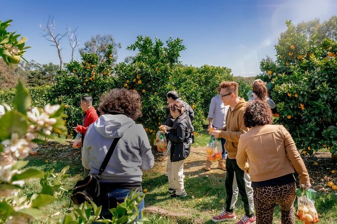 Fruit Picking & Nature Private Tour Yarra Valley & Warburton - Small-group privacy and the guide matters more than you think
