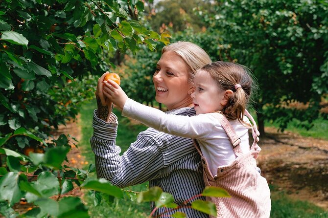 Fruit Picking & Nature Private Tour Yarra Valley & Warburton - Timing, driving time, and how to plan for a full 7 hours