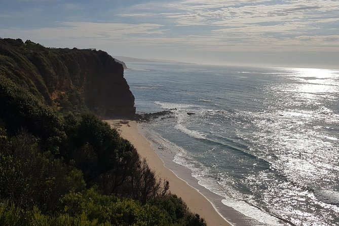 Full-Day Great Ocean Road Tour from Melbourne - The Photo Stop Checklist: The Arch, London Bridge, and Port Campbell