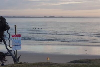 Full-Day Great Ocean Road Tour from Melbourne - How the Day Flows: Early Coffee, Coastal Towns, and a Real Lunch Pause
