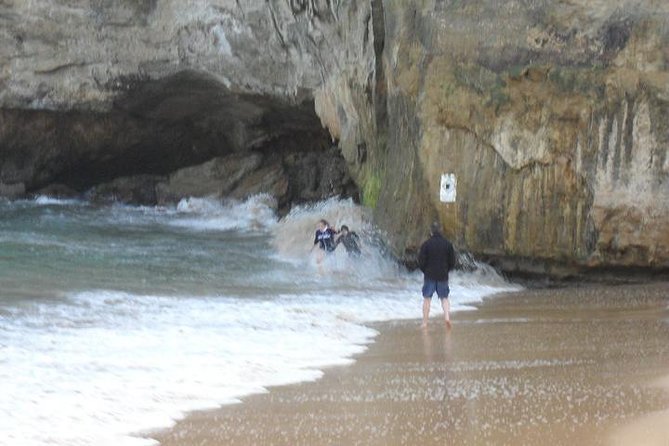 Full-Day Great Ocean Road Tour from Melbourne - Loch Ard Gorge and Mait’s Rest: When the Walking Actually Matters