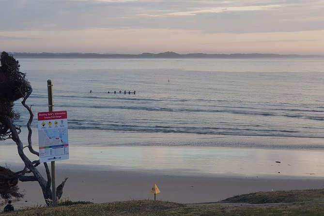 Full-Day Great Ocean Road Tour from Melbourne - How the Day Flows: Early Coffee, Coastal Towns, and a Real Lunch Pause