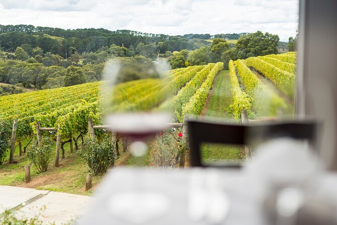 Full-Day Guided Tour on the Beautiful Mornington Peninsula. - Riding out from Frankston: the easy start that matters