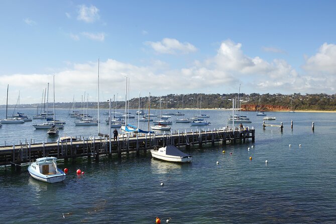 Full-Day Guided Tour on the Beautiful Mornington Peninsula. - Stop types you should look forward to: what “Mornington Peninsula” feels like