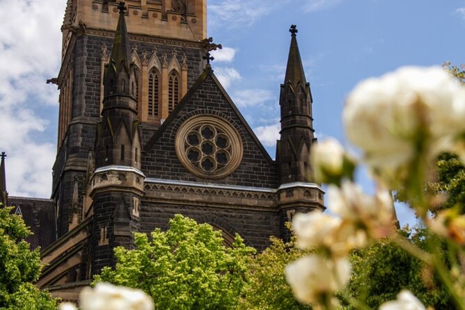 Full-day Melbourne City Sightseeing with Penguin Parade - Price and Value: Is $157.08 a Good Deal for This Mix?