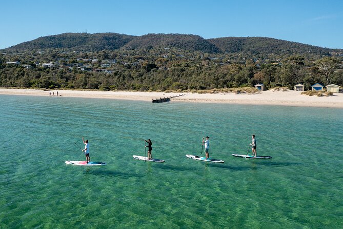 Full-Day Penguins and Wildlife Nature Experience from Melbourne - Price and value: is $114.04 a fair deal?