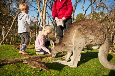 Full-Day Phillip Island Tour with Kangaroo, Koala and Penguin Parade - Woolamai Beach: a quick break on Cape Woolamai