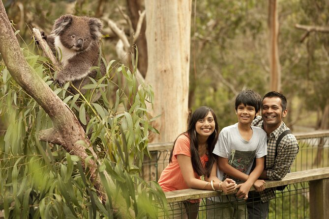 Full-Day Private Australian Wildlife Tour of Phillip Island - Meeting point in Melbourne: Where the day starts