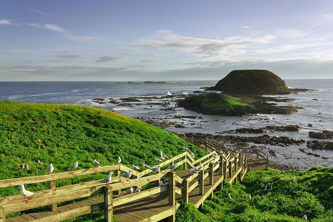 Full-Day Private Australian Wildlife Tour of Phillip Island - What $412.41 really covers (and where to expect extra costs)