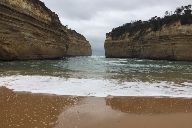 Full Day Private Custom Tour of Great Ocean Road & 12 Apostles - Kennett River: wildlife spotting that adds real variety