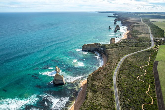 Full Day Private Custom Tour of Great Ocean Road & 12 Apostles - Anglesea lookout time for kangaroos