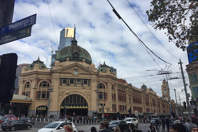 Full Day Private Melbourne Tour with enchanting Koala Encounters. - How This Private Day Tour Works (and Why It’s a Good Fit)