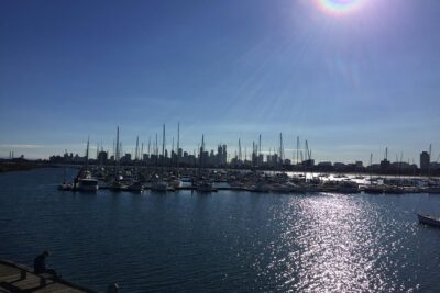 Full Day Private Melbourne Tour with enchanting Koala Encounters. - St Paul’s Cathedral and Federation Square: A Clean Start in Central Melbourne