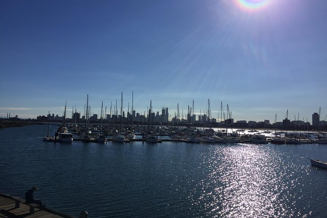 Full Day Private Melbourne Tour with enchanting Koala Encounters. - St Paul’s Cathedral and Federation Square: A Clean Start in Central Melbourne