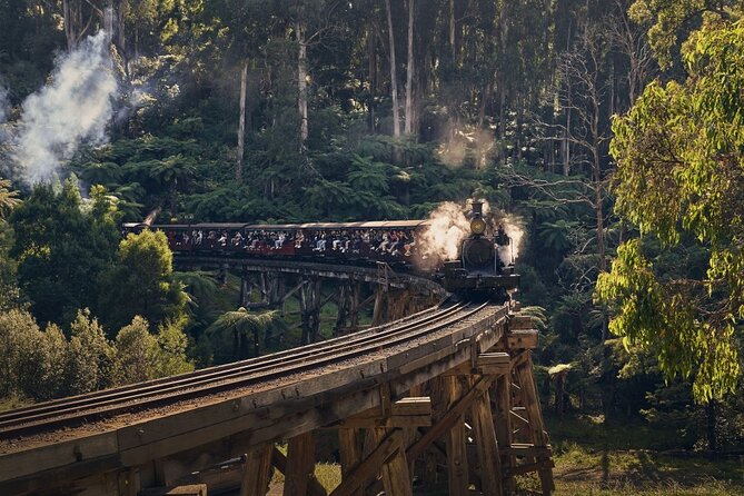 Full Day Tour of Great Ocean Road and 12 Apostles from Melbourne - Maits Rest: rainforest walk time that’s short but worthwhile