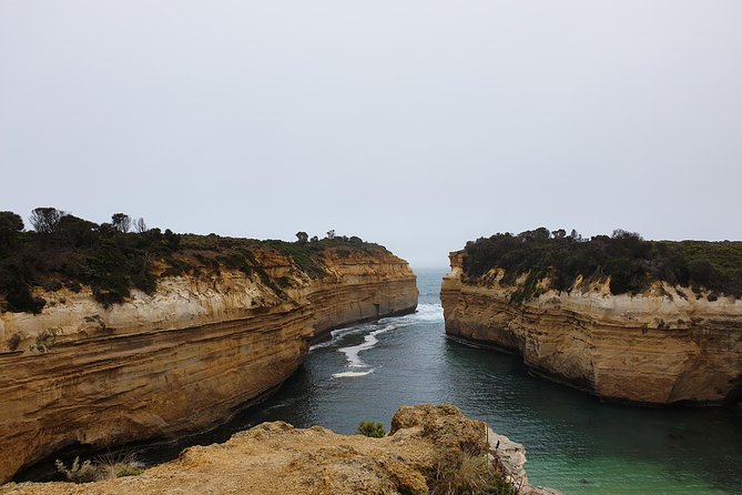 Great Ocean Road 12 Apostles kangaroo, koala and chocolate tour - Stop 2 and 3: Anglesea Kangaroos and Memorial Arch Photos