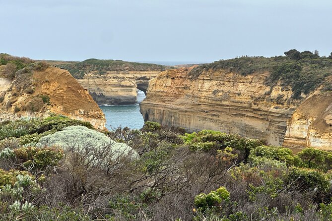 Great Ocean Road 12 apostles PRIVATE Luxury Tour 5 PAX all incl. - Twelve Apostles: real time to see the stacks before the rush