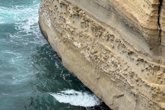 Great Ocean Road 12 apostles PRIVATE Luxury Tour 5 PAX all incl. - Mait’s Rest: more than a rainforest walk