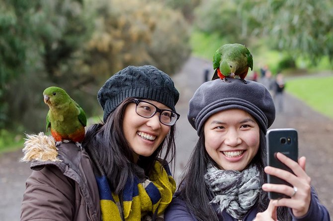 Great Ocean Road, 12 Apostles, Rainforest & Morning Tea-Melbourne - Twelve Apostles: how to make 45 minutes count