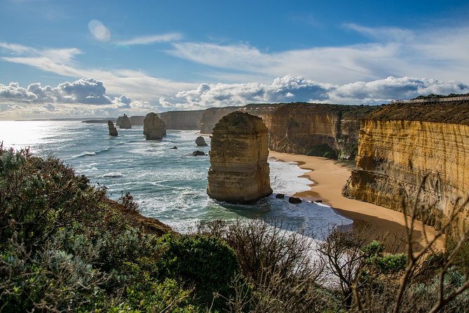 Great Ocean Road 12 Apostles & Rainforest Walk with Morning Tea - Apollo Bay Lunch Hour: Eat Local, Then Rejoin the Road